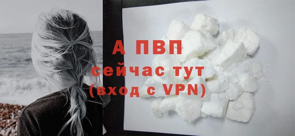 скорость Белокуриха